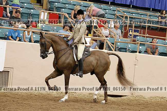 Proof 11yn_06150