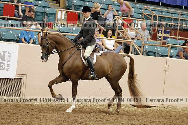 Proof 11yn_06151