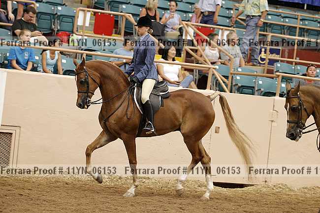 Proof 11yn_06153