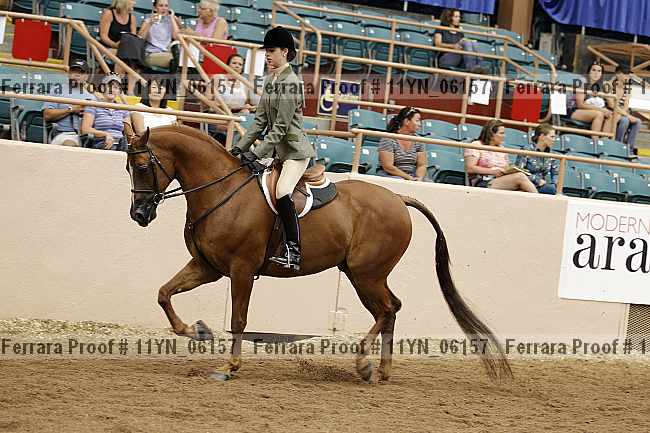 Proof 11yn_06157