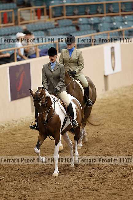 Proof 11yn_06160