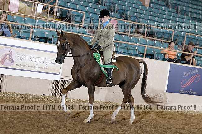 Proof 11yn_06164