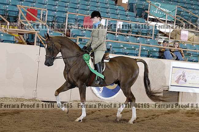 Proof 11yn_06165