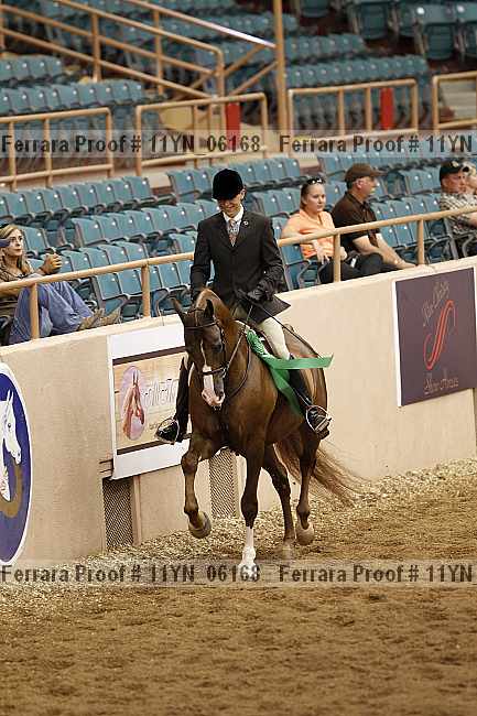 Proof 11yn_06168
