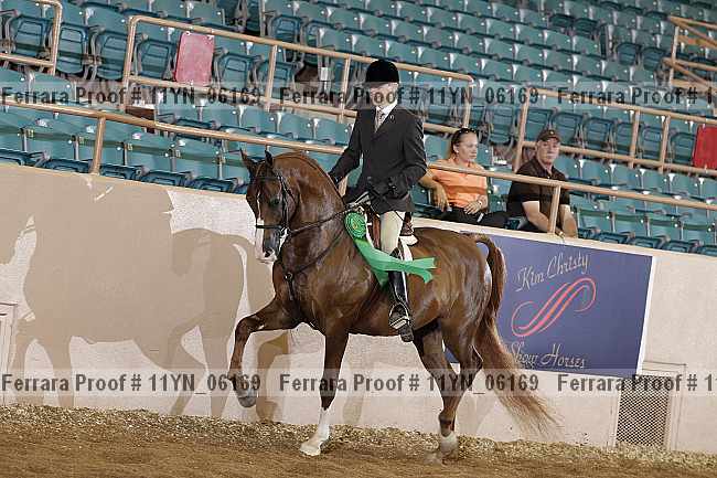 Proof 11yn_06169