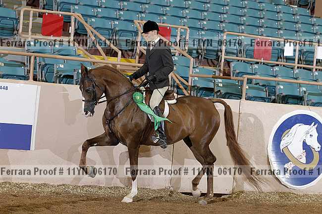 Proof 11yn_06170