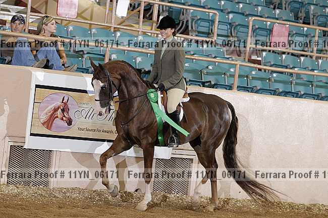 Proof 11yn_06171