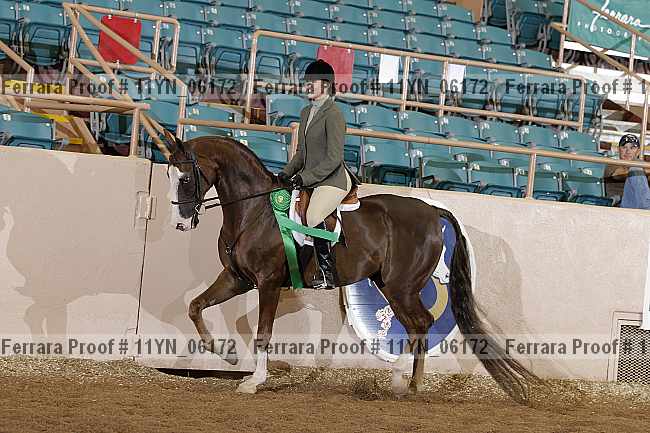 Proof 11yn_06172