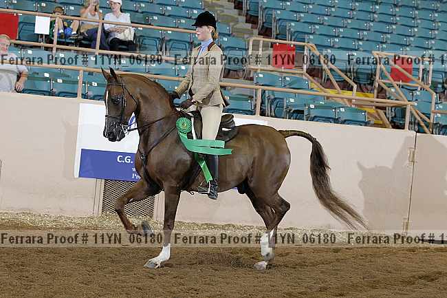 Proof 11yn_06180