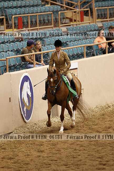 Proof 11yn_06181