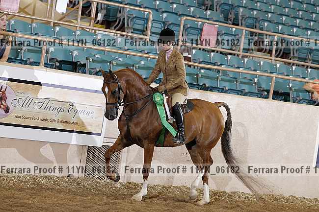 Proof 11yn_06182