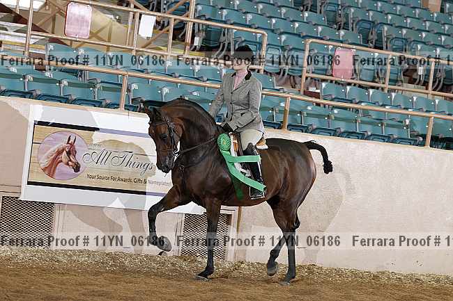 Proof 11yn_06186
