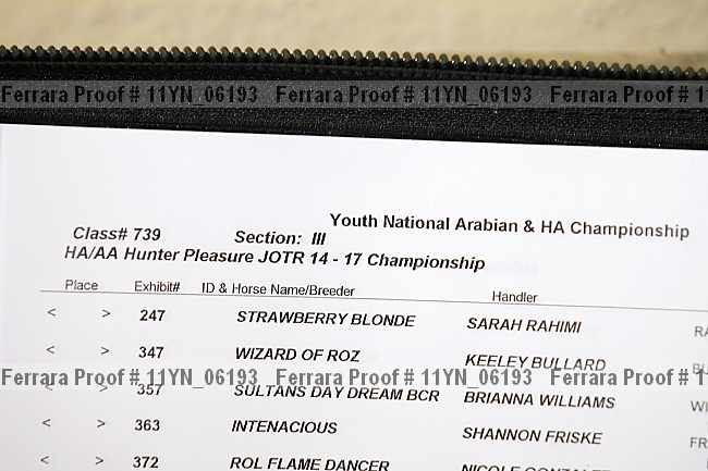 Proof 11yn_06193