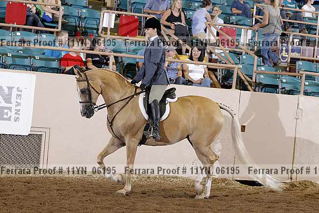 Proof 11yn_06195