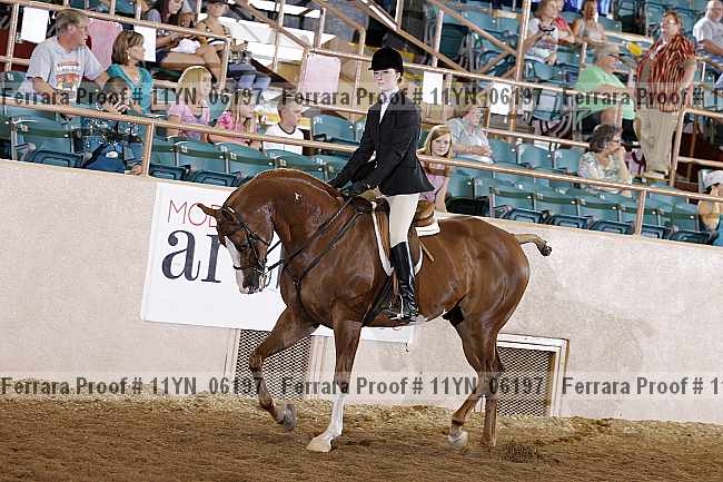 Proof 11yn_06197