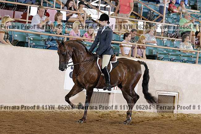 Proof 11yn_06204