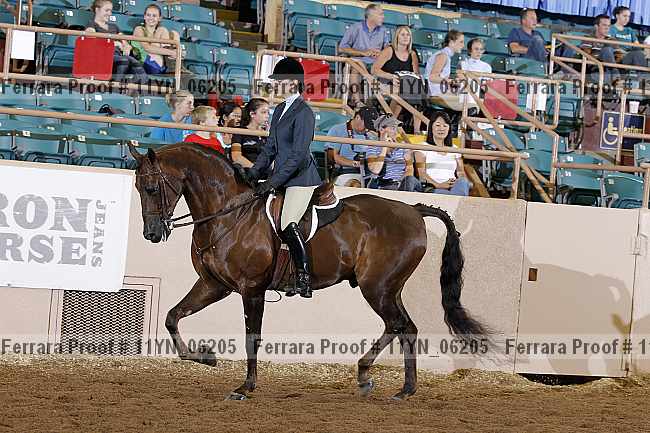 Proof 11yn_06205