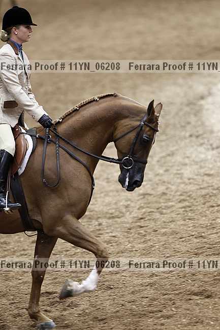 Proof 11yn_06208