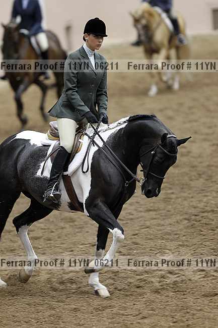 Proof 11yn_06211