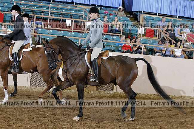 Proof 11yn_06214