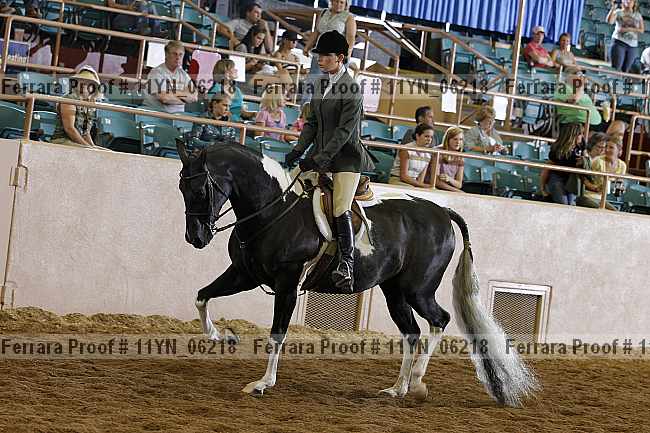 Proof 11yn_06218