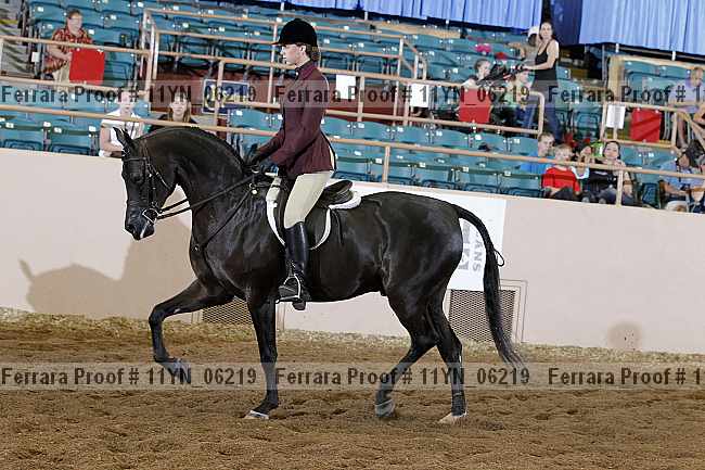 Proof 11yn_06219