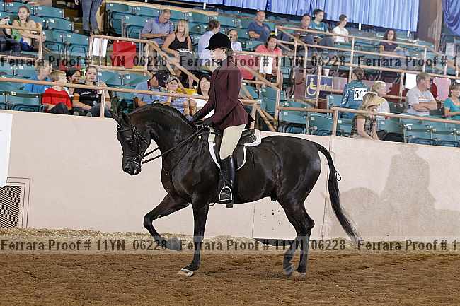Proof 11yn_06228