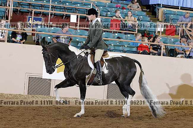Proof 11yn_06231