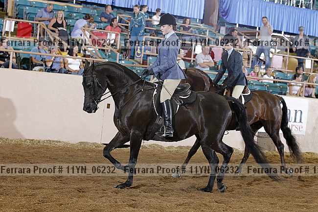 Proof 11yn_06232