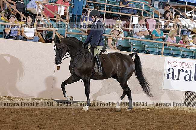 Proof 11yn_06234