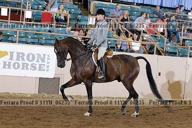 Proof 11yn_06235