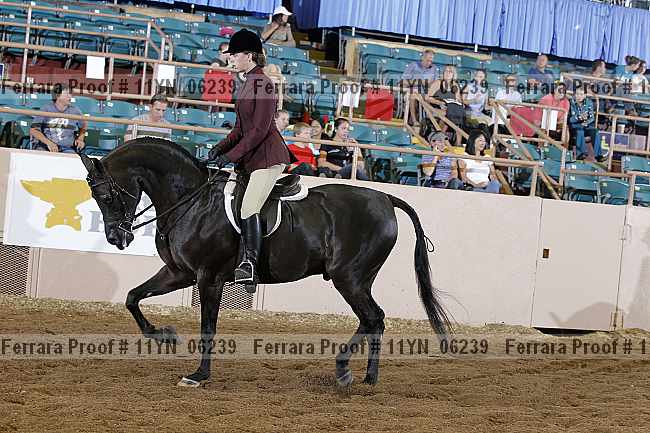 Proof 11yn_06239