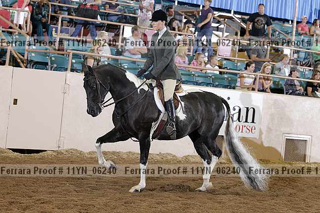 Proof 11yn_06240