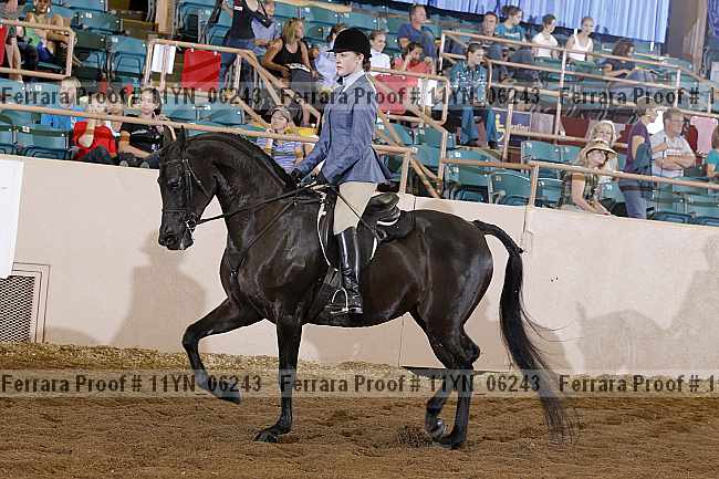 Proof 11yn_06243