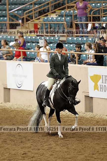 Proof 11yn_06251