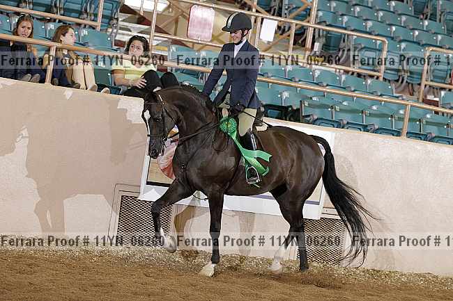 Proof 11yn_06260