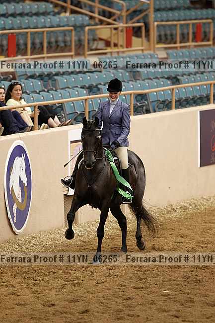 Proof 11yn_06265