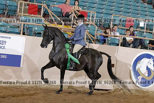 Proof 11yn_06268