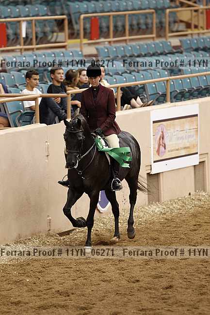 Proof 11yn_06271