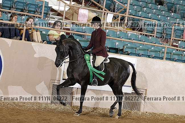 Proof 11yn_06272