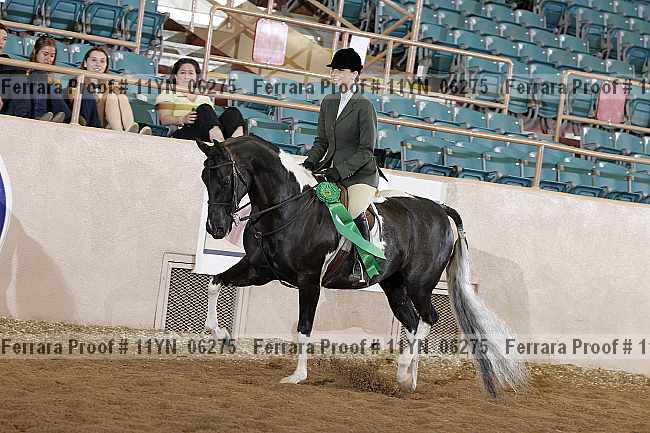 Proof 11yn_06275