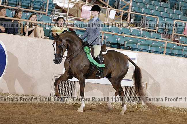 Proof 11yn_06277