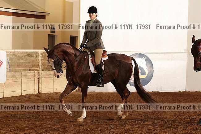 Proof 11yn_17981