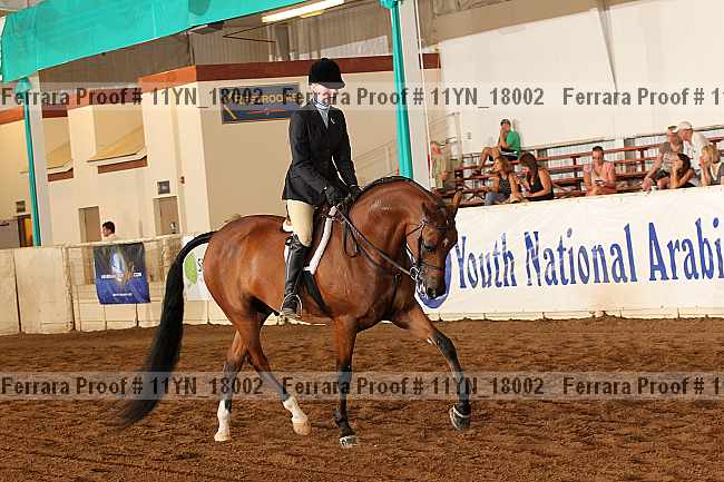 Proof 11yn_18002