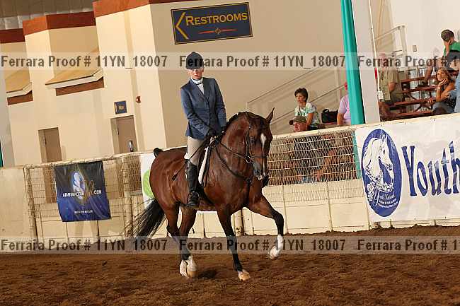 Proof 11yn_18007