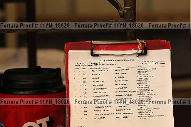 Proof 11yn_18020