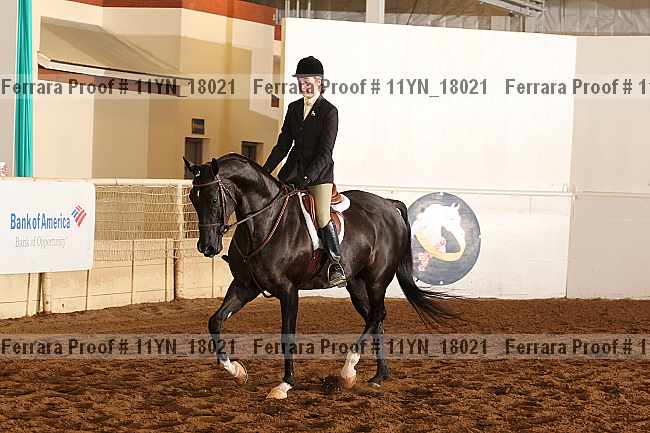 Proof 11yn_18021