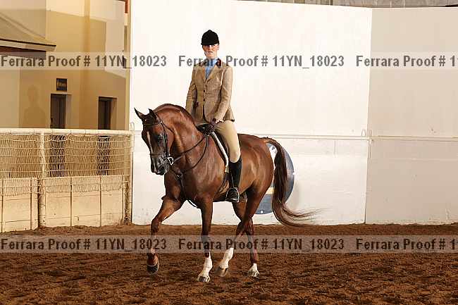 Proof 11yn_18023