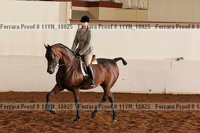 Proof 11yn_18025