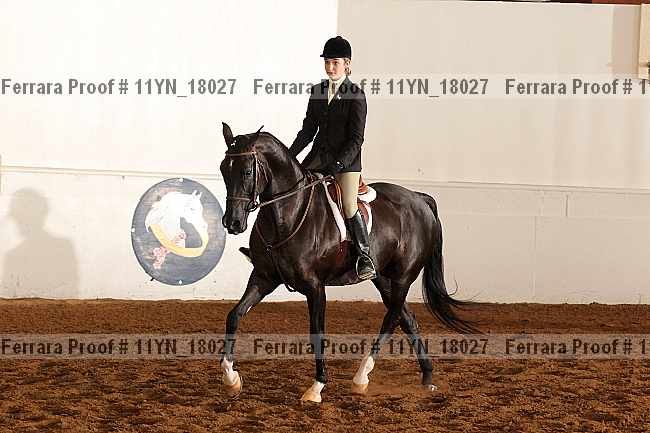 Proof 11yn_18027